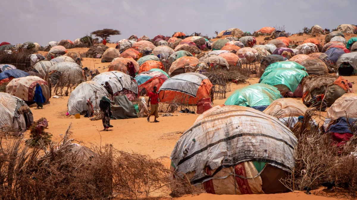 Thousands of Somalis cross into Kenya to escape the drought and unrest